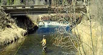 Steen Montana stream fly fishing